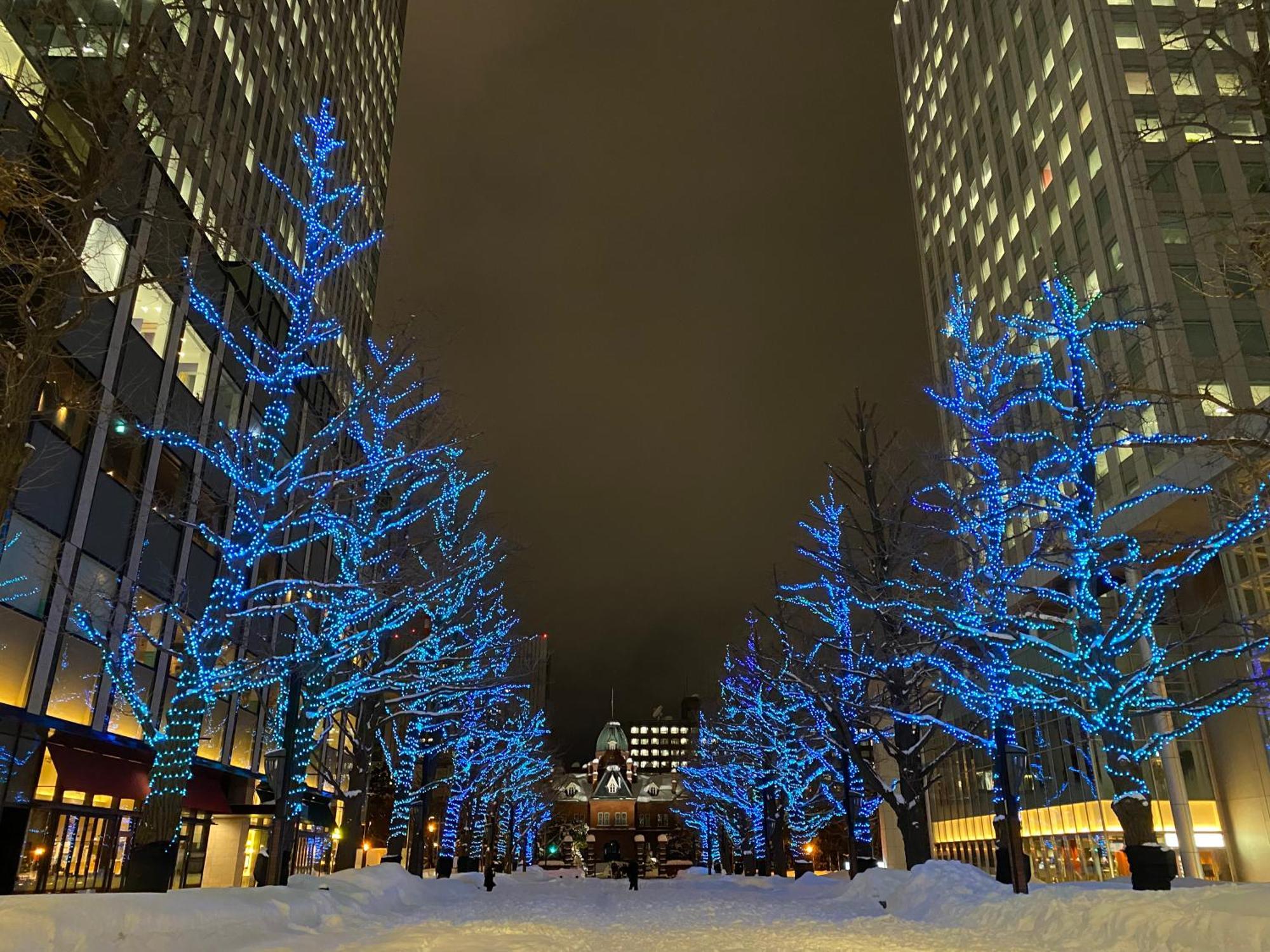 Mercure Hotel Sapporo Exterior photo